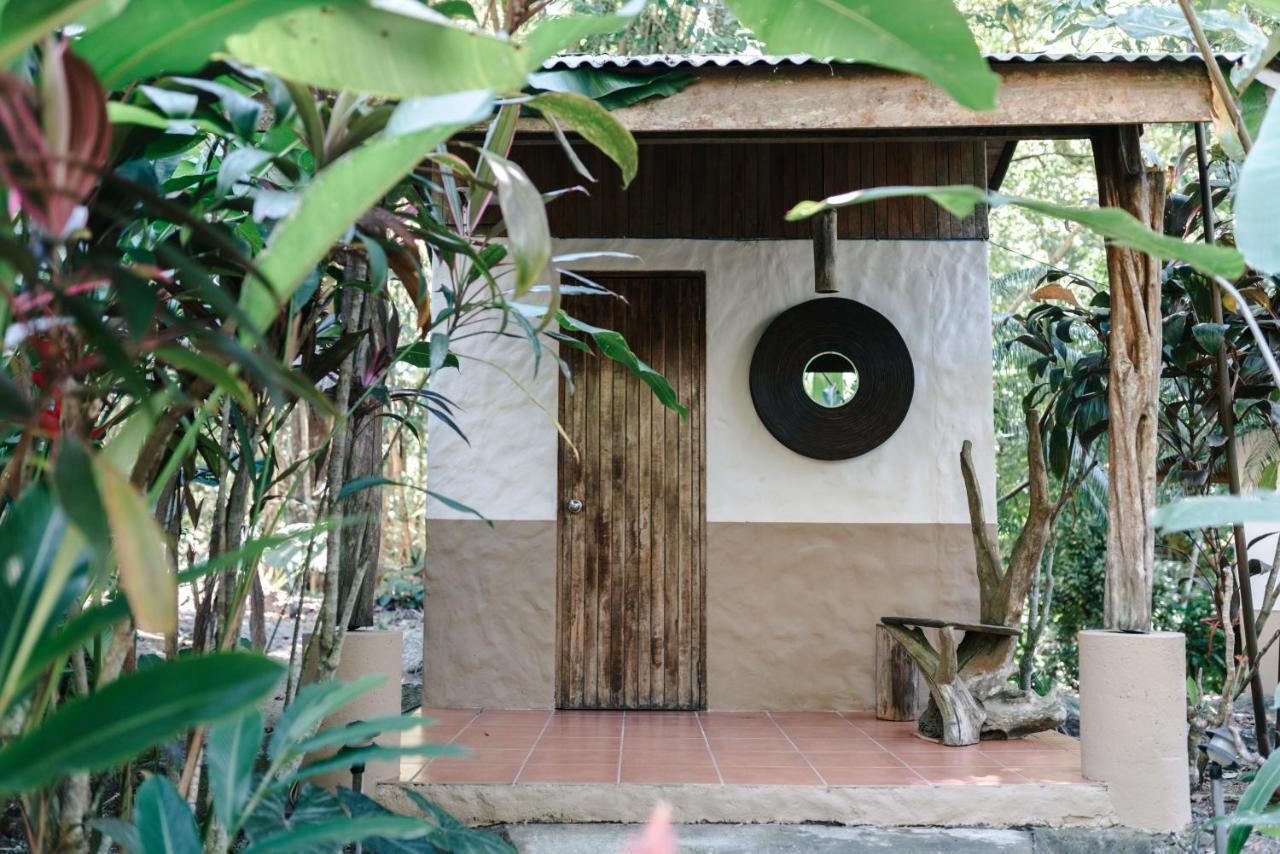 Star Mountain Jungle Lodge & Horse Ranch Malpais Exteriér fotografie